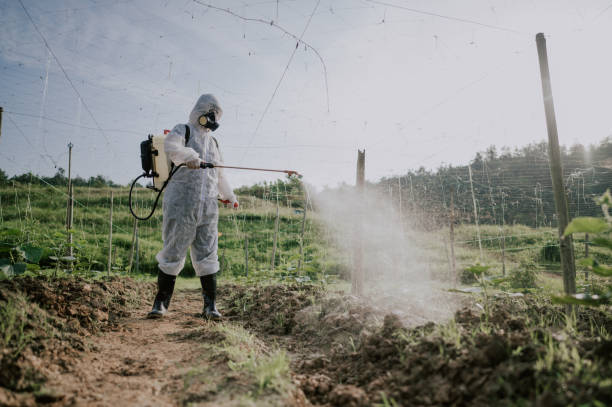 Best Ant Control Services  in Granger, WA