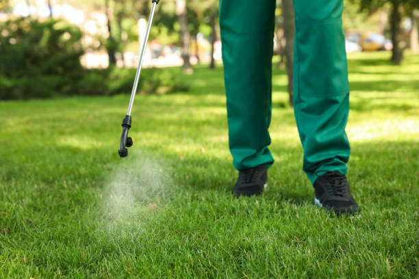 Best Best Pest Control Companies  in Granger, WA