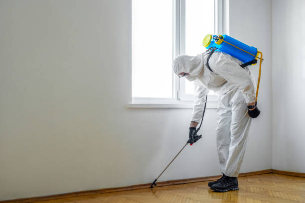 Best Emergency Pest Control  in Granger, WA