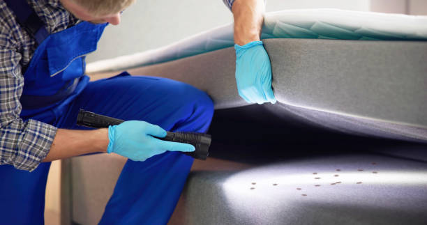 Best Mosquito Control Services  in Granger, WA